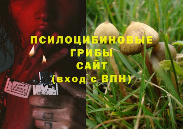 спиды Лабытнанги