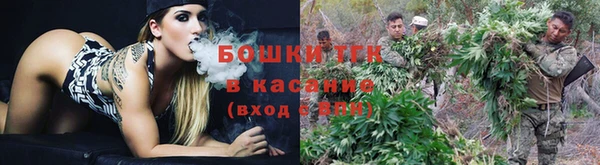 стаф Лихославль